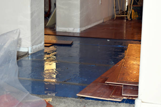 Professional Flood Damage Restoration technician working in Haddon Heights, NJ